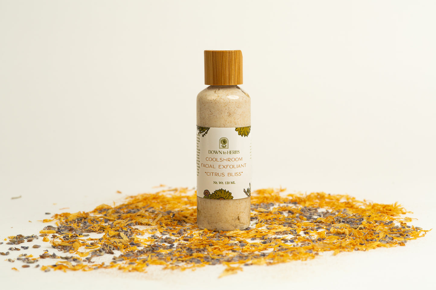 CoolShroom Facial Exfoliant | Citrus Bliss